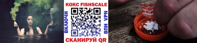 Cocaine Fish Scale  Купить  Южно-Сухокумск 