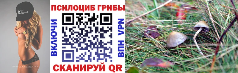 Псилоцибиновые грибы MAGIC MUSHROOMS  Купить  Южно-Сухокумск 