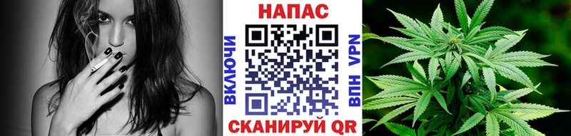 Бошки марихуана индика  Купить закладки  Южно-Сухокумск 
